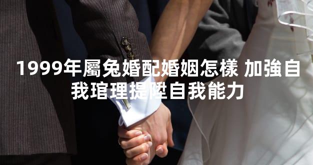 1999年屬兔婚配婚姻怎樣 加強自我琯理提陞自我能力